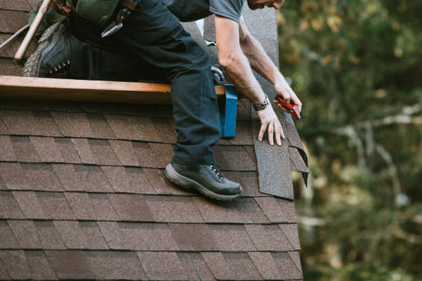 Roof Gutter Cleaning in Decatur, TN